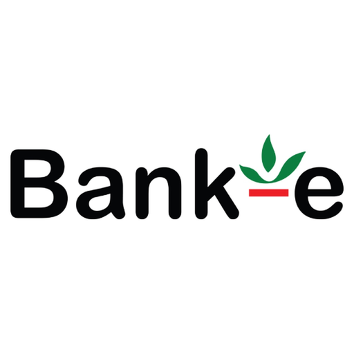 Bank-e app icon