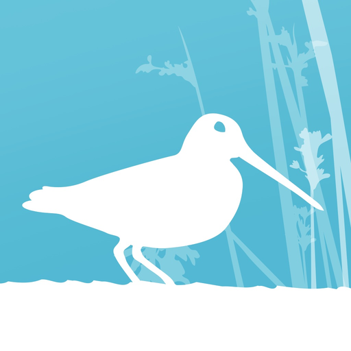 Jerrabomberra Wetlands app icon