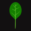 Fresh Spinach | Россия icon