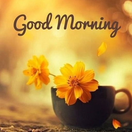 Good Morning Messages & Images app icon