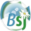 Blanchisserie BSJ icon