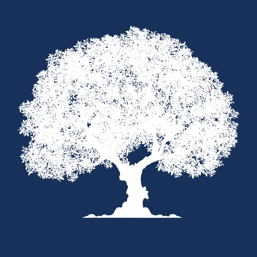 CMC Care app icon