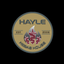 Hayle Kebab House icon