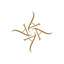 Addoony Cosmetics icon