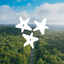 Experience Tennessee icon