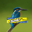 OAK FM 101.3 icon