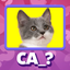 Guess the Idiom Quiz Show icon