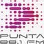 Fm Punta 88.1 icon