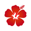 Hibizcus icon