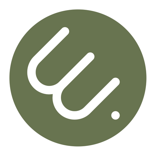 WeLoan app icon