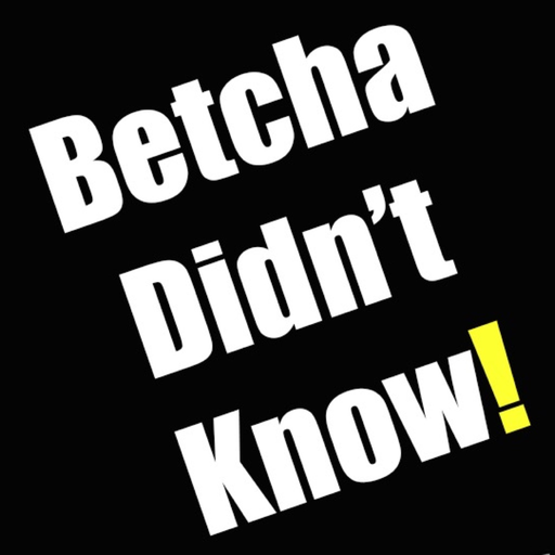Betcha Didn't Know! app icon