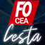FO CEA CESTA icon