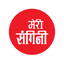Meri Sangini icon