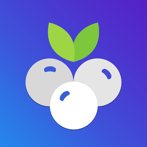 Blueberry - Point of Sale app icon