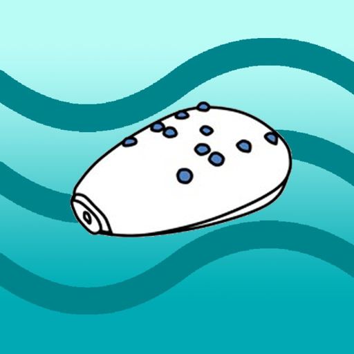 Holiday_BreathTrainer app icon