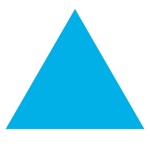DNS TRANSACT app icon