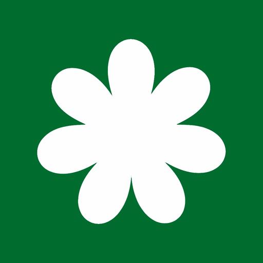 Flora-букетная мастерская app icon