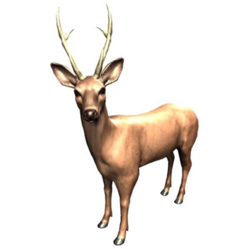 Zookidi-3D app icon