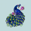 Mystery Peacock Stickers icon