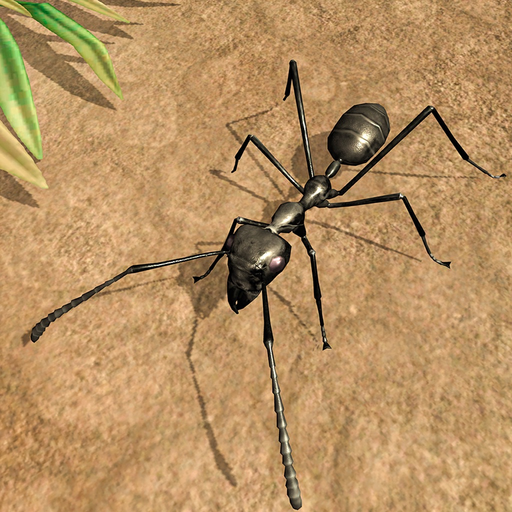 Ant Insect Life Survival War app icon
