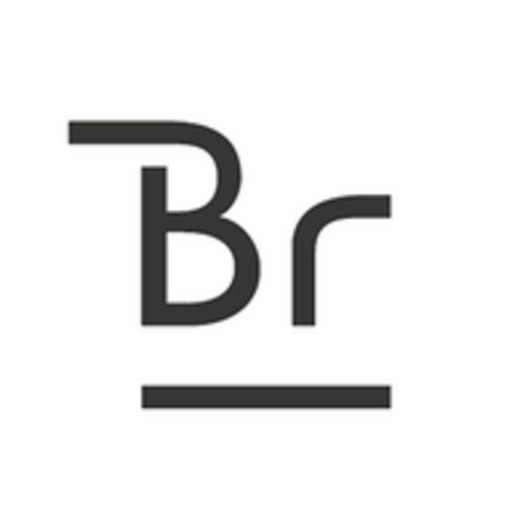 Bruder app icon