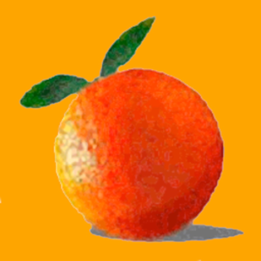 Jeugddienst Appelsien app icon