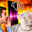 Cat Translator - speak, enjoy icon