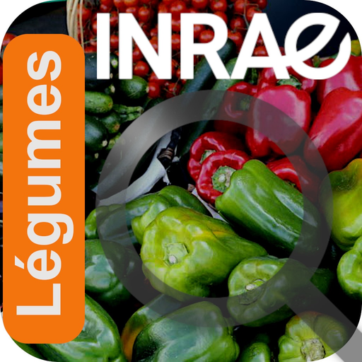 Légume app icon