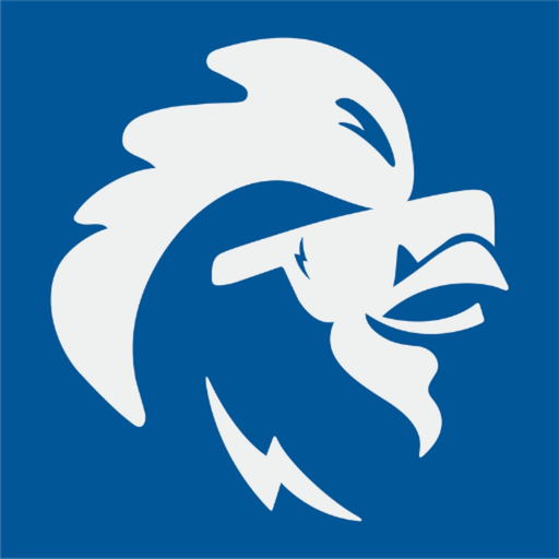 Chick N Max app icon