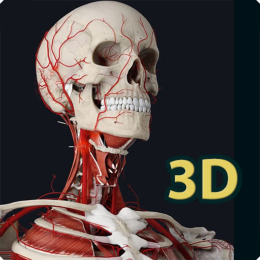 Human Anatomy 3D app icon