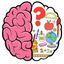 IQ and mental games: Brain Out icon