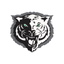 Triton Central Schools icon