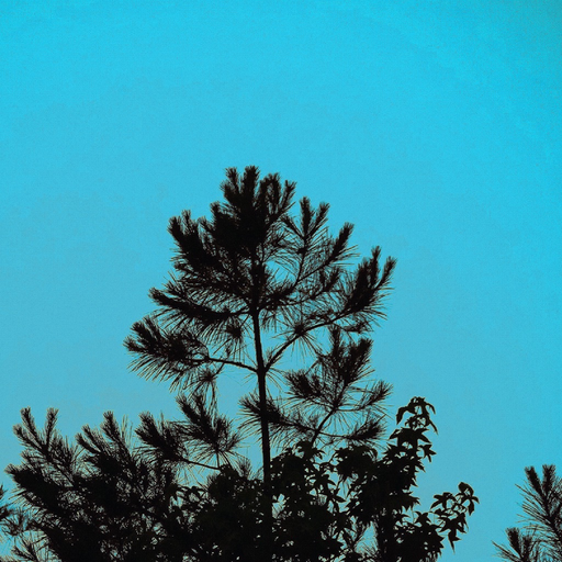 Scrambled Image app icon