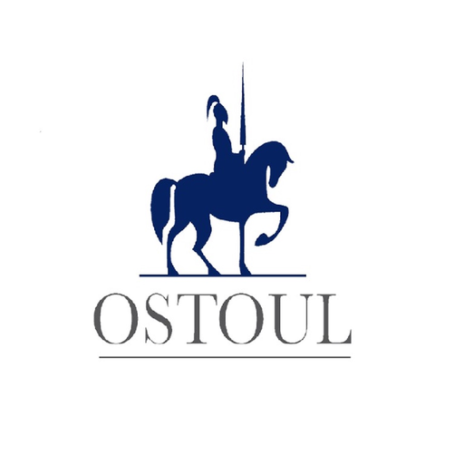 Ostoul online app icon