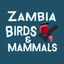 Zambia Bird & Mammal Checklist icon