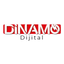Dinamo Video Çözüm icon