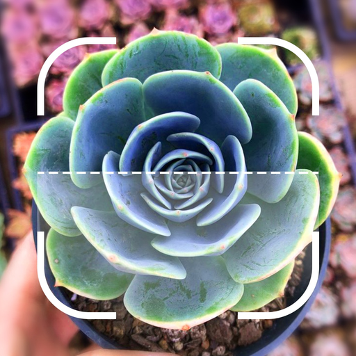 Identify Plant : Flower & Tree app icon