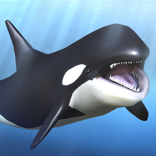 Orca  and marine mammals app icon