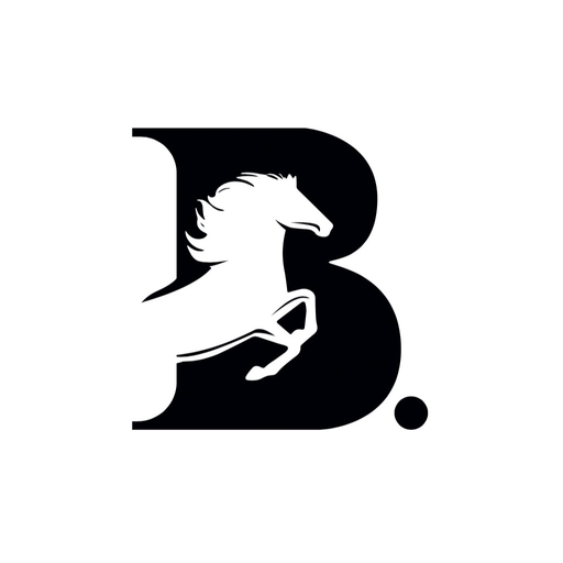 Black Point Recruitment app icon