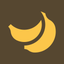 Evoliz App icon