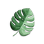 Bloom Flower Stickers icon