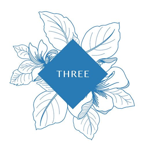Three Old Town Park app icon