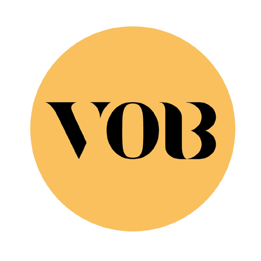 Vision of the Bible app icon