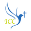 ICCNET icon