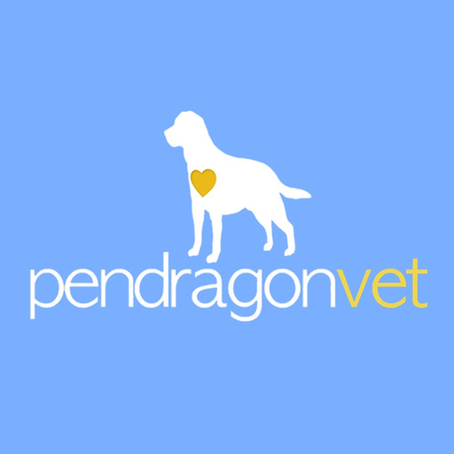 Pendragon Vet Clinic app icon