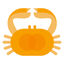 Crab Fit icon