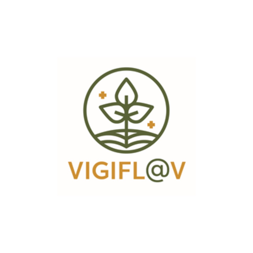 Vigifl@v app icon