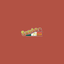 Santos Pizza icon