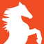 StallionVMS icon