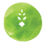 Ag Education Coloring Fun icon